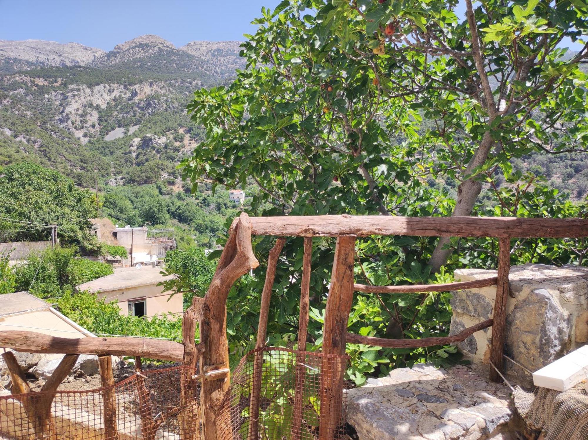 Kato Symi House Villa Kato Simi Eksteriør bilde